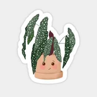 Cute Plant Illustration, Begonia Maculata Sticker